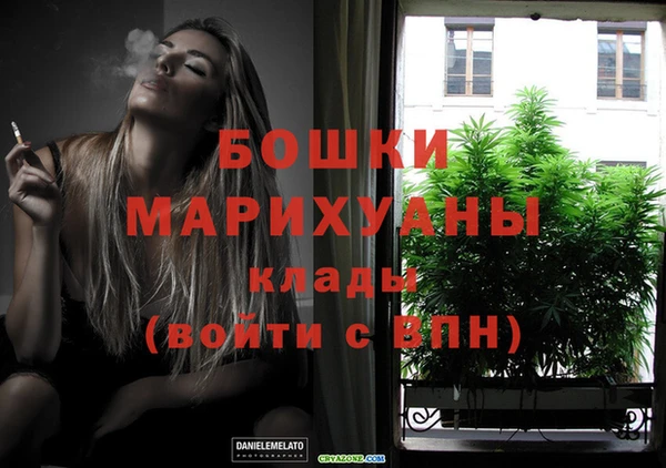 PSILOCYBIN Балабаново