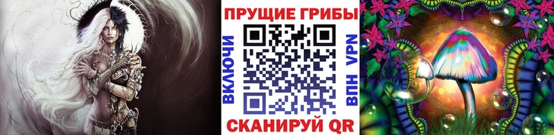 хочу наркоту  Липки  Галлюциногенные грибы MAGIC MUSHROOMS 